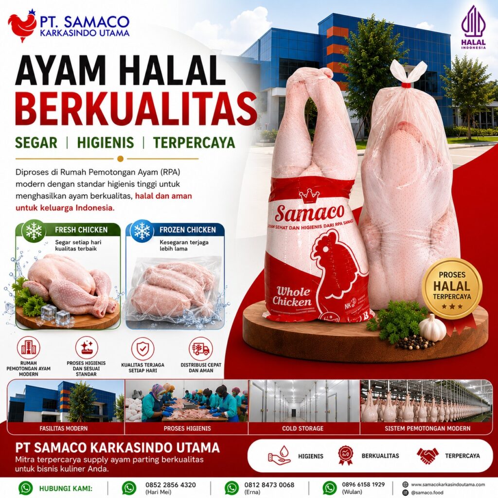 ayam halal samaco